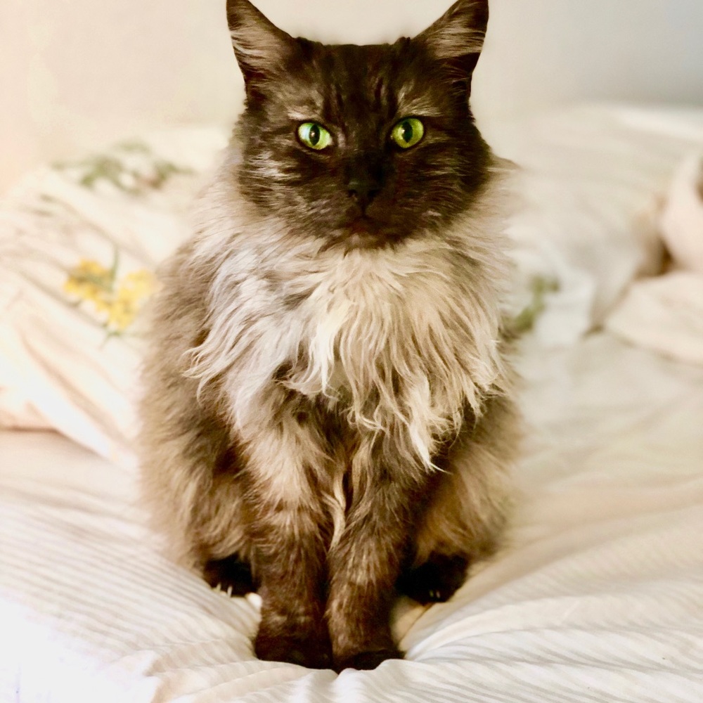 Meet your Posher, Margo